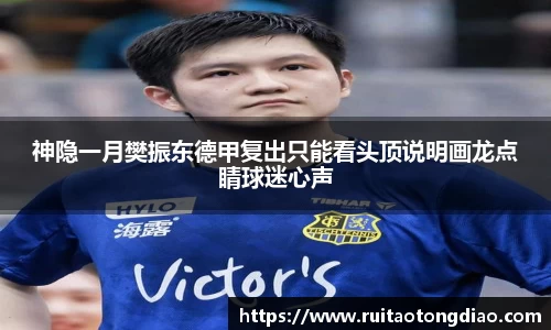 神隐一月樊振东德甲复出只能看头顶说明画龙点睛球迷心声